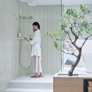 Read more about the article 【淋浴設備】淋浴設備整合規劃與升級建議，提升功能與美觀兼顧的浴室體驗