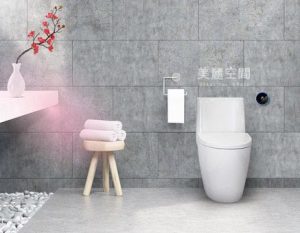 Read more about the article 單體馬桶：堅固一體成型，耐用又省空間的可靠選擇