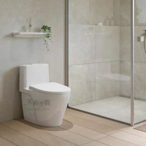 Read more about the article 馬桶選購完全指南：從類型到安裝一次搞定！